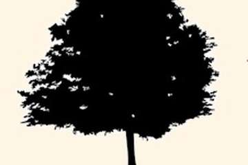 Beddingfield Funeral Service